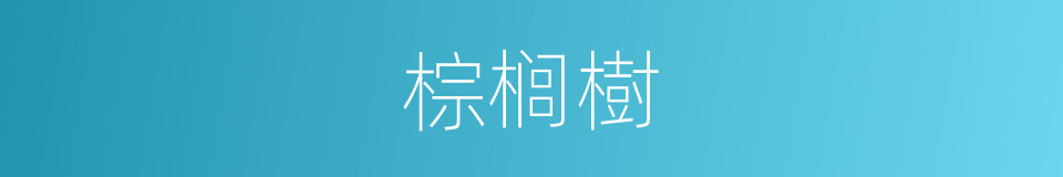 棕榈樹的意思