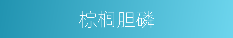 棕榈胆磷的同义词