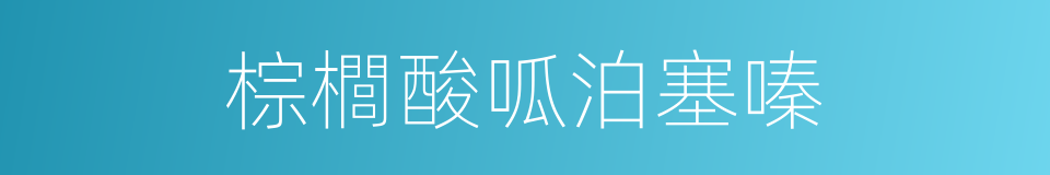 棕櫚酸呱泊塞嗪的同義詞