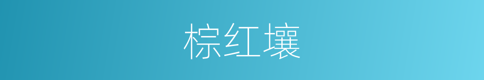 棕红壤的意思