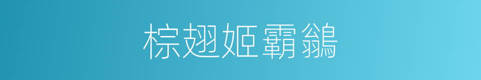 棕翅姬霸鶲的同義詞