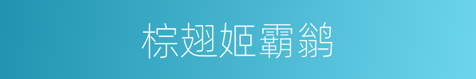 棕翅姬霸鹟的同义词