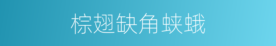 棕翅缺角蛱蛾的同义词