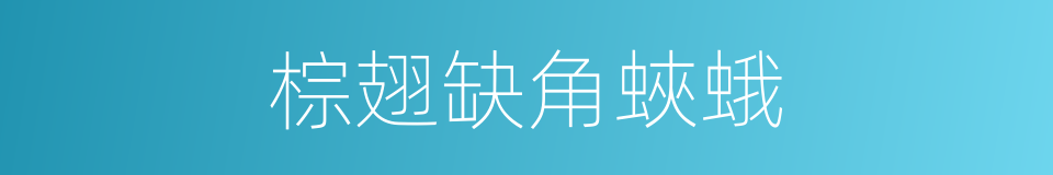 棕翅缺角蛺蛾的同義詞