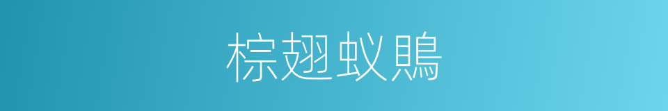 棕翅蚁鵙的同义词
