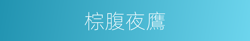 棕腹夜鷹的同義詞