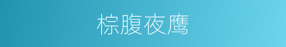 棕腹夜鹰的同义词