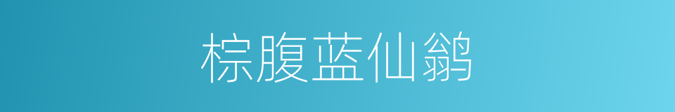 棕腹蓝仙鹟的同义词
