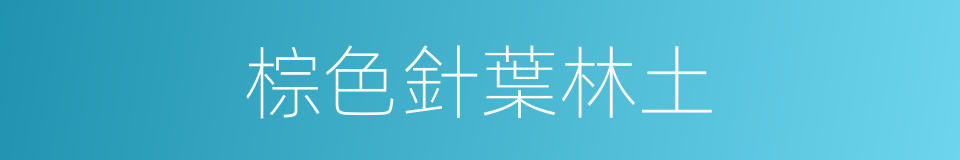 棕色針葉林土的同義詞