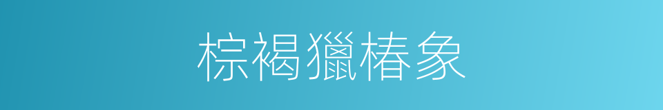 棕褐獵椿象的同義詞