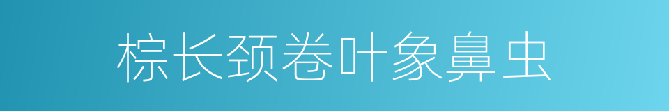 棕长颈卷叶象鼻虫的同义词