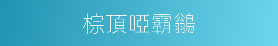 棕頂啞霸鶲的同義詞