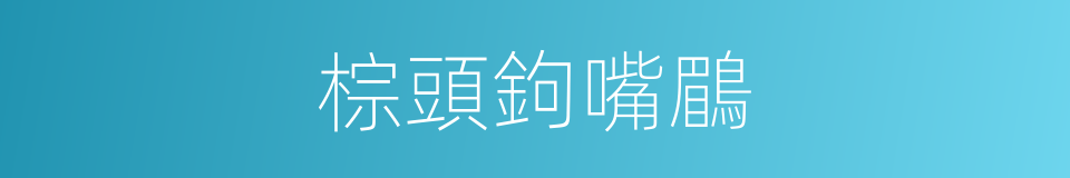 棕頭鉤嘴鶥的同義詞