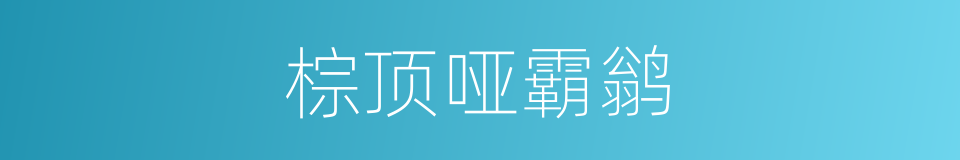 棕顶哑霸鹟的同义词