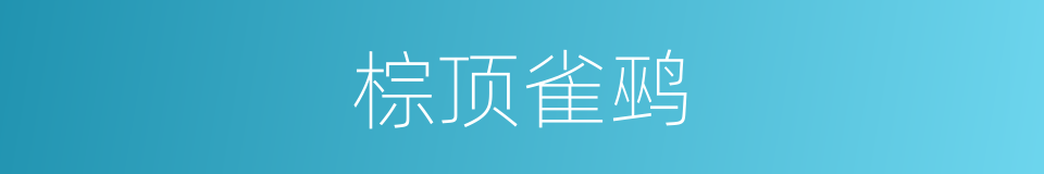 棕顶雀鹀的同义词
