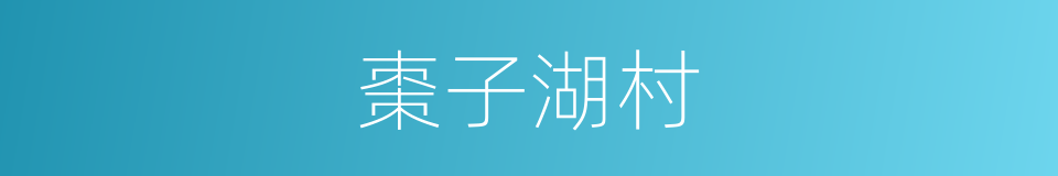 棗子湖村的同義詞