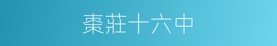 棗莊十六中的同義詞