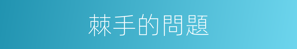 棘手的問題的同義詞