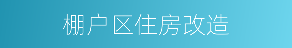 棚户区住房改造的同义词