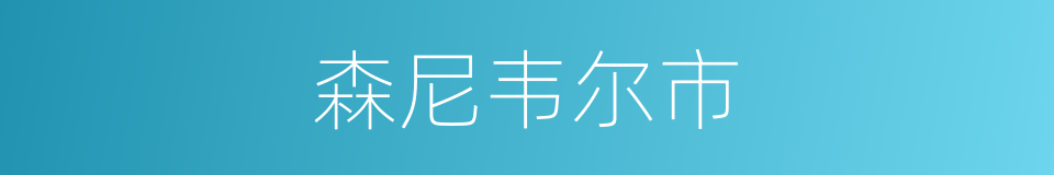 森尼韦尔市的同义词