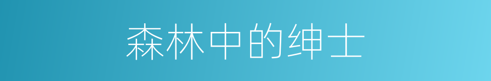 森林中的绅士的同义词