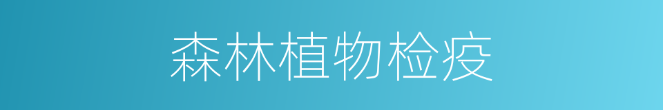 森林植物检疫的同义词