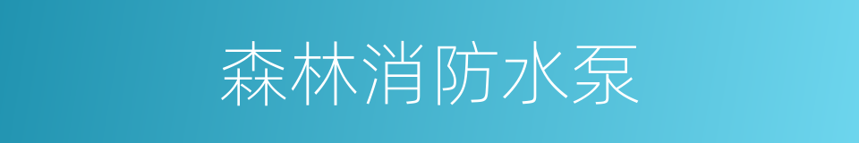 森林消防水泵的同义词