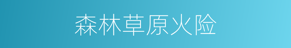 森林草原火险的同义词