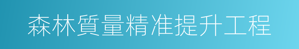 森林質量精准提升工程的同義詞