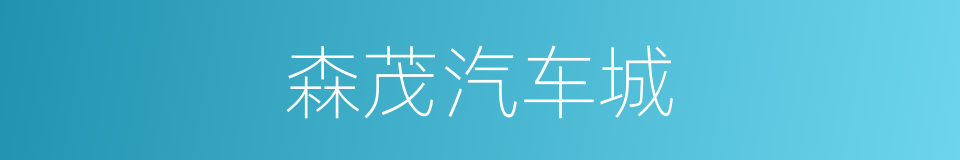 森茂汽车城的同义词