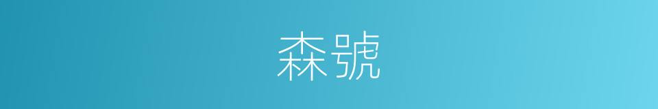 森號的同義詞