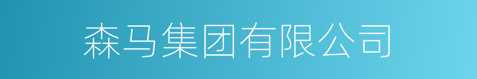 森马集团有限公司的同义词