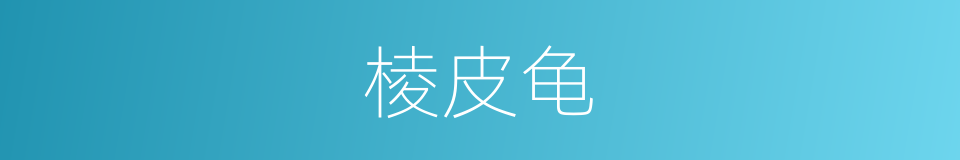 棱皮龟的意思