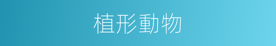 植形動物的同義詞
