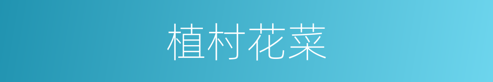 植村花菜的同义词