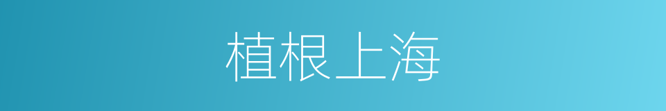 植根上海的同义词