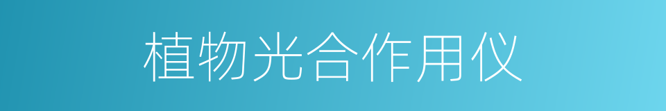 植物光合作用仪的同义词
