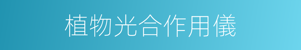 植物光合作用儀的同義詞