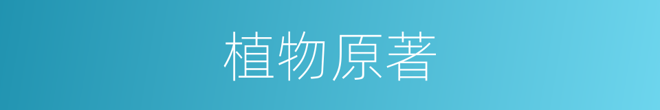 植物原著的同義詞