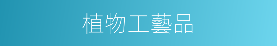 植物工藝品的同義詞