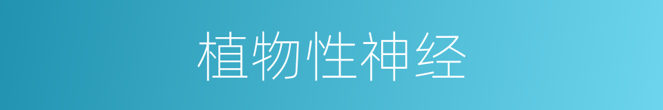 植物性神经的意思