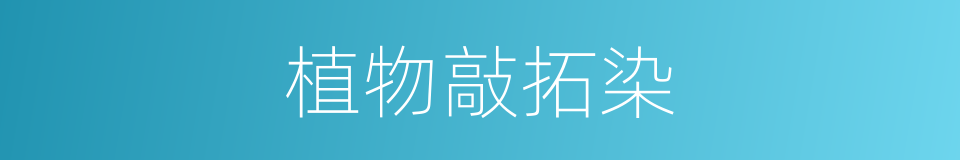 植物敲拓染的同义词