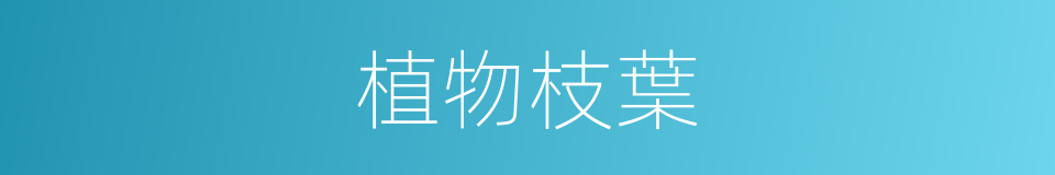 植物枝葉的同義詞