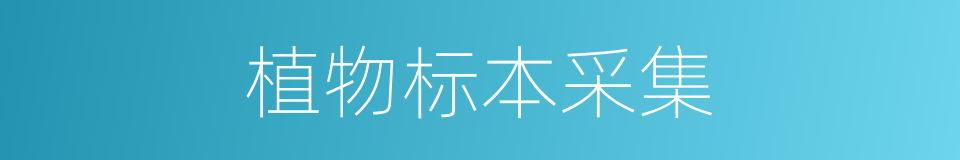 植物标本采集的同义词