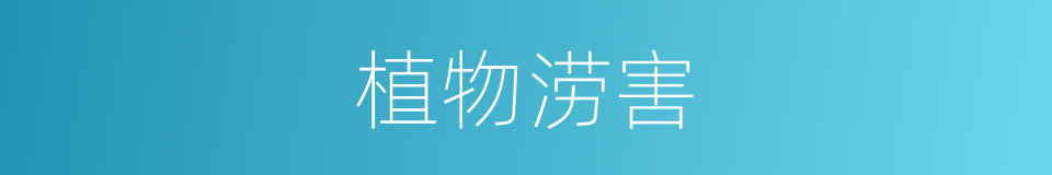 植物涝害的同义词