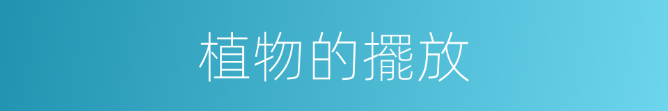 植物的擺放的同義詞
