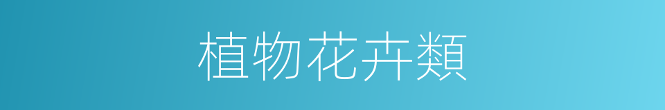植物花卉類的同義詞
