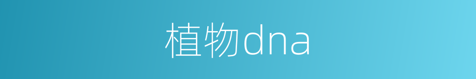 植物dna的同义词