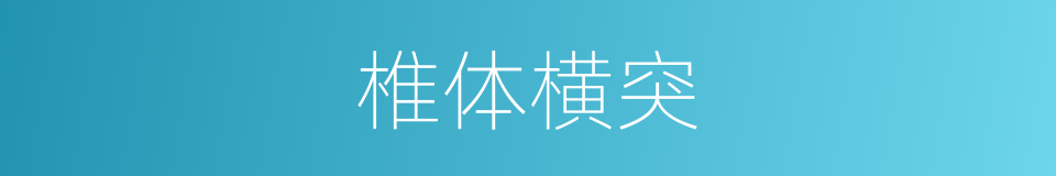 椎体横突的同义词