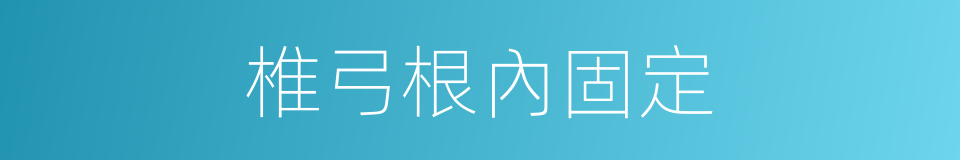 椎弓根內固定的同義詞